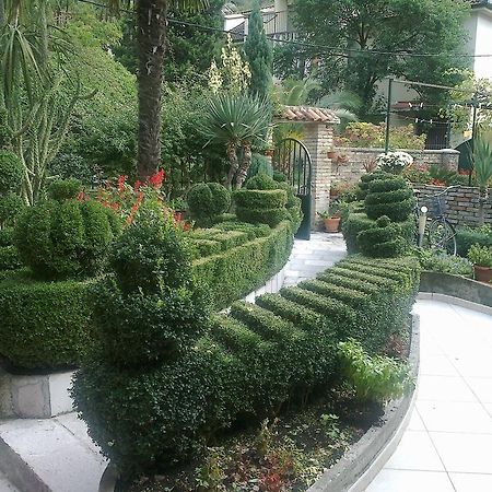 Apartment City Garden コトル 部屋 写真