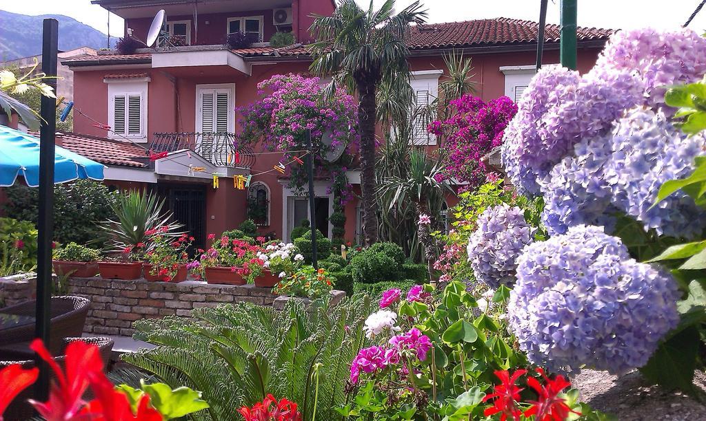 Apartment City Garden コトル 部屋 写真